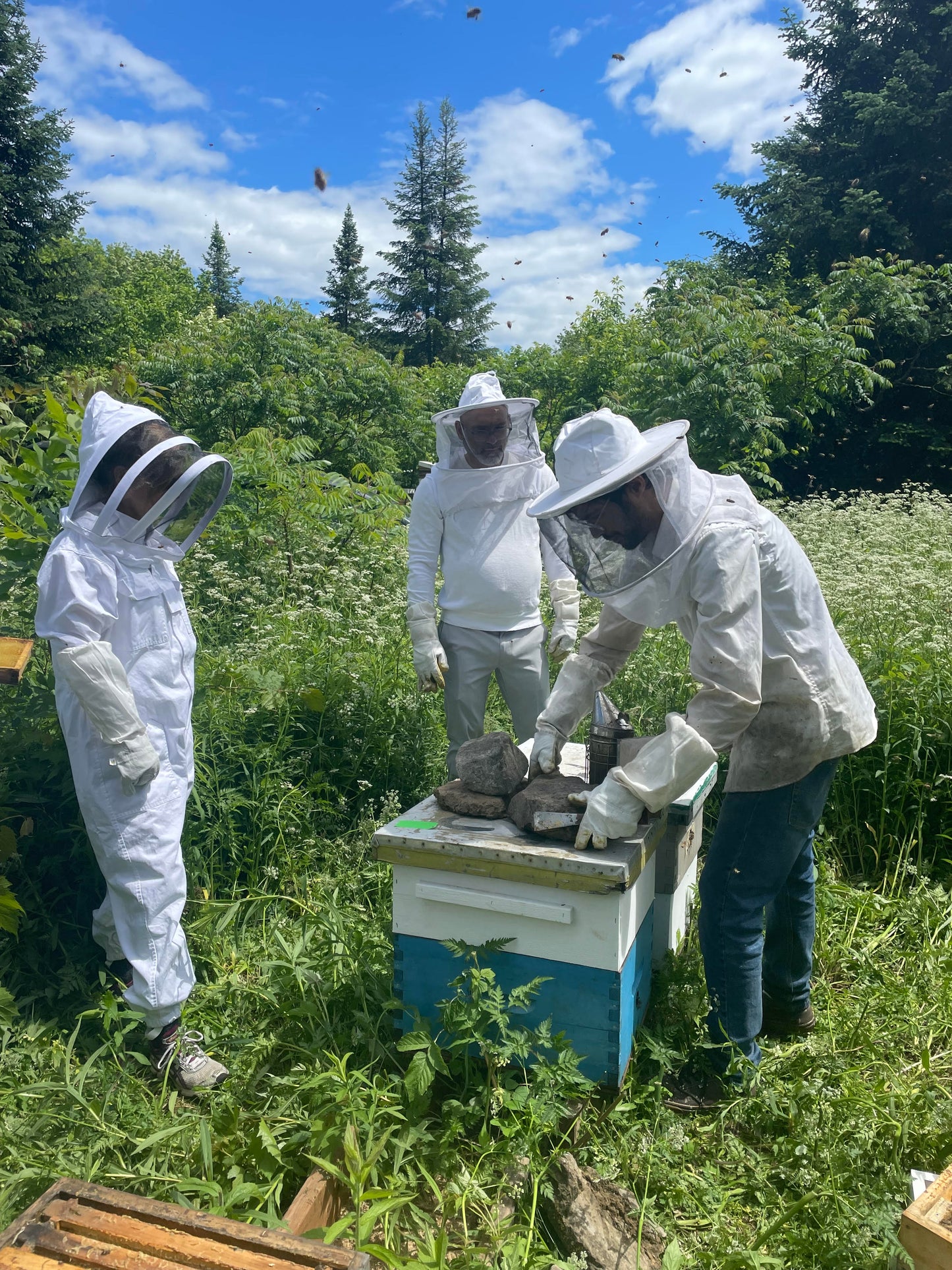 Introduction to Beekeeping 2024