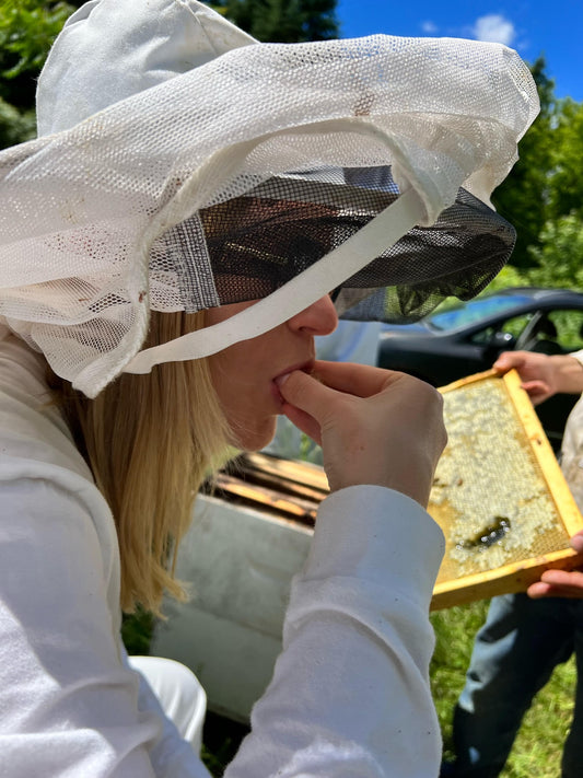 Honey production methods 2024