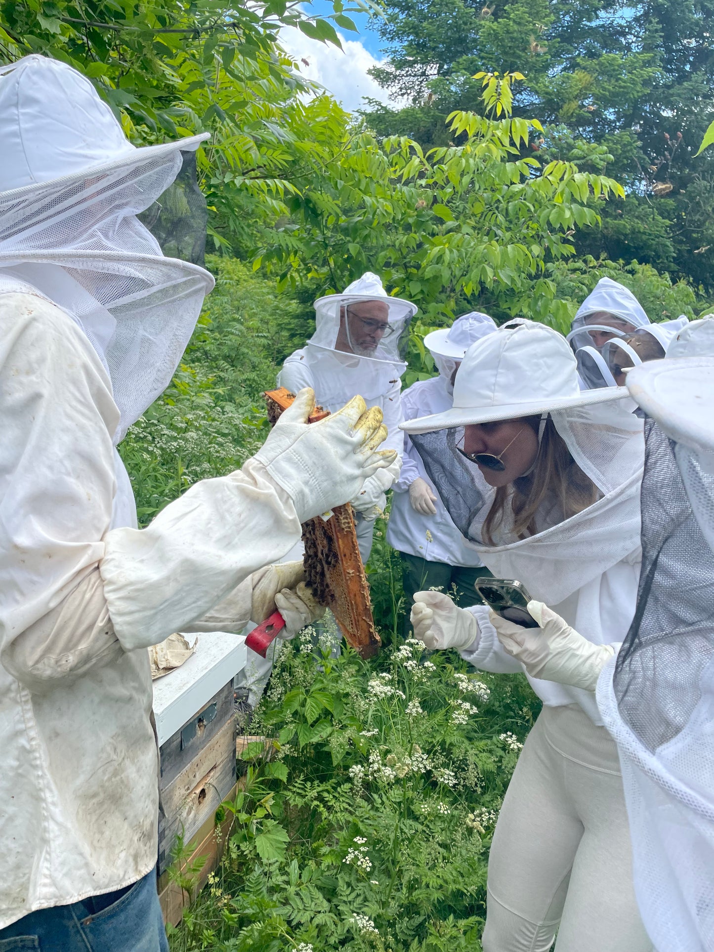 Cours d'initiation à l'apiculture