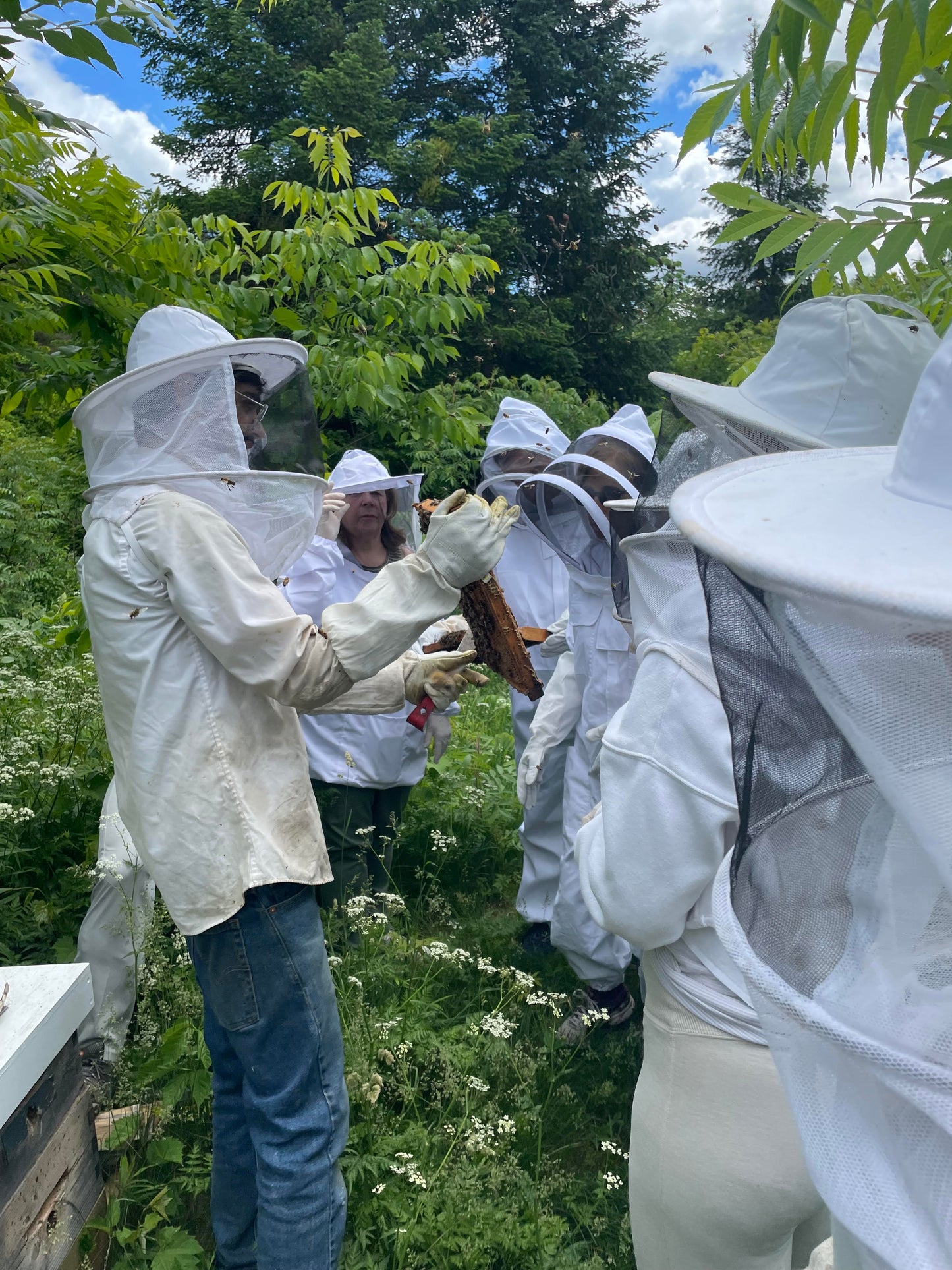 Introduction à l'apiculture 2024